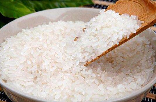 香米和大米的區(qū)別 吃深圳大米的好處
